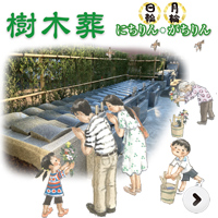 樹木葬詳細ページはこちら 樹木葬