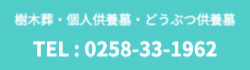 TEL 0258331962